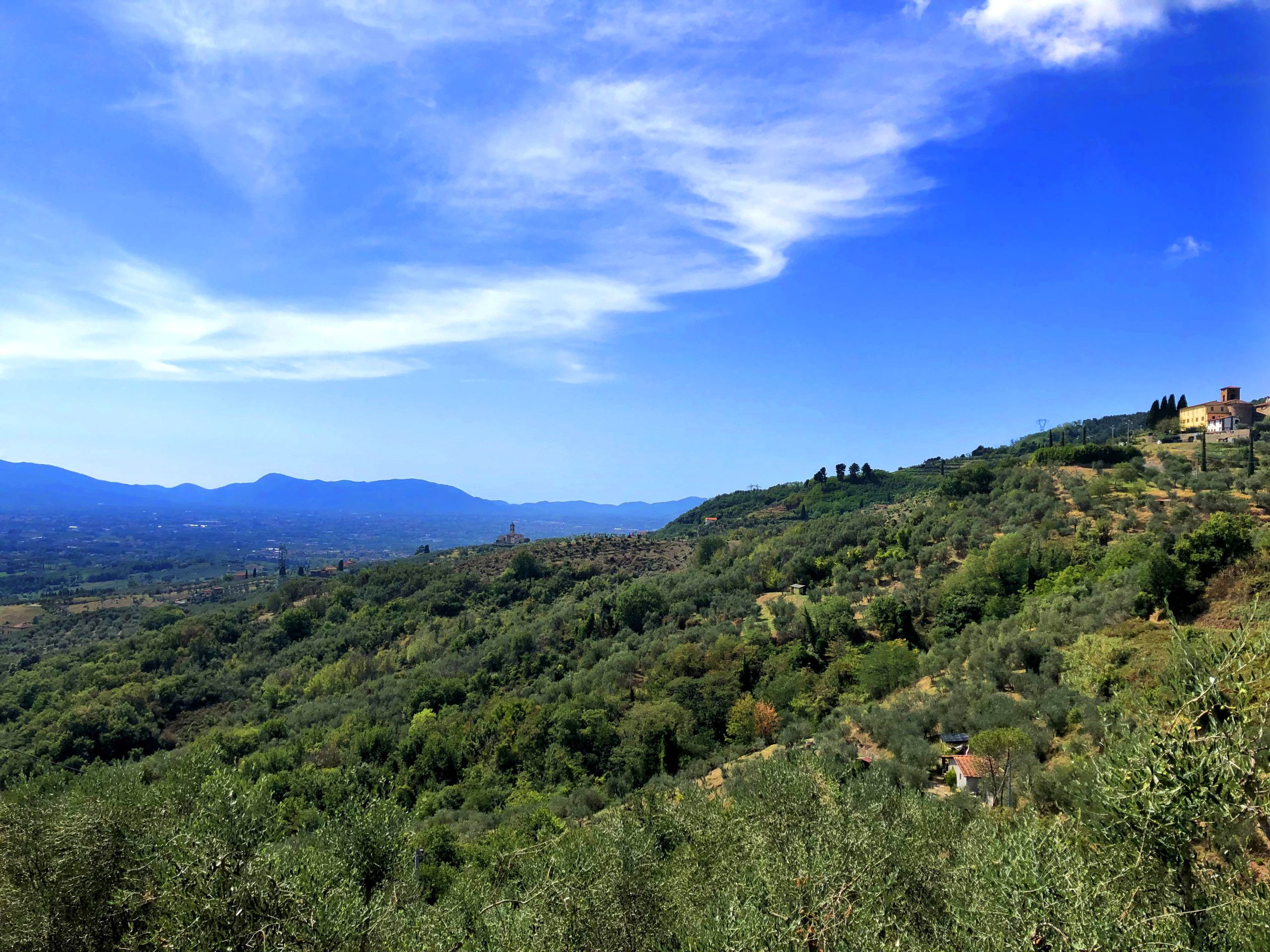 Le colline lucchesi