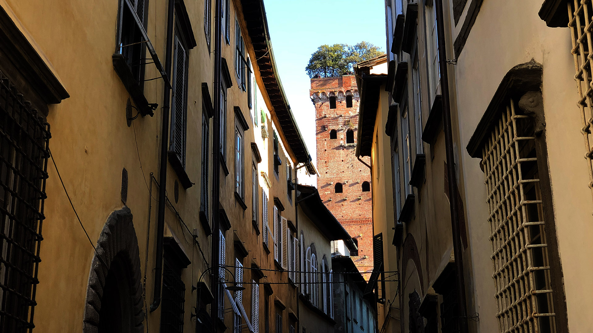 Torre Guinigi a Lucca